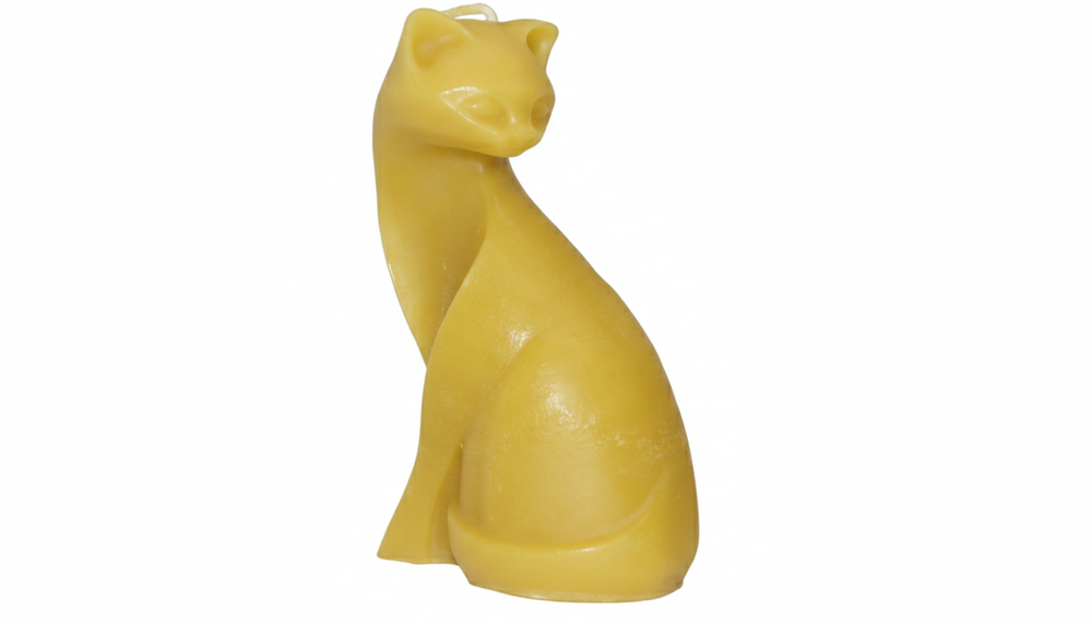 Katt bivaxljus